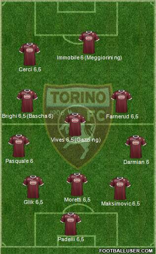 Torino Formation 2013