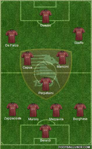 Salernitana Formation 2013