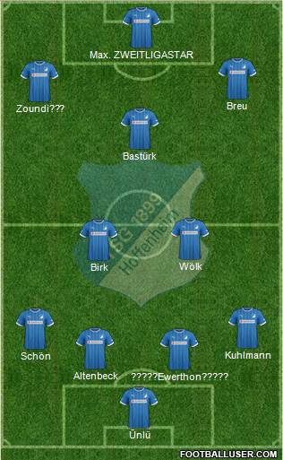 TSG 1899 Hoffenheim Formation 2013