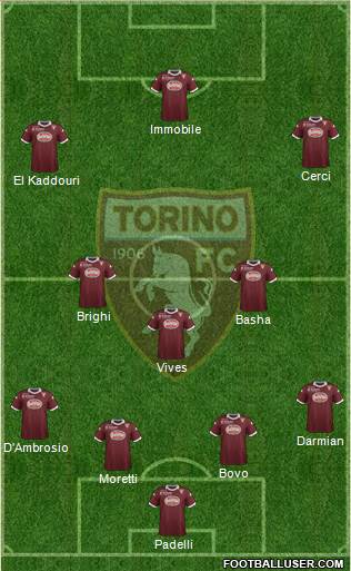 Torino Formation 2013