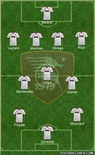 Salernitana Formation 2013