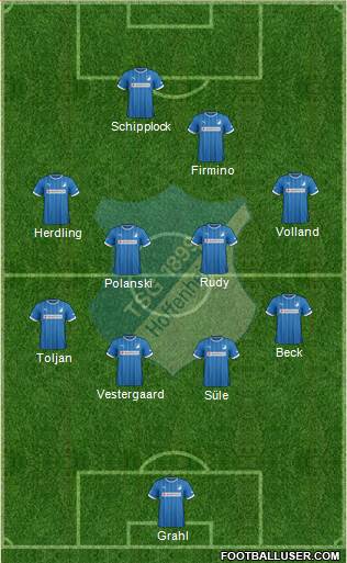 TSG 1899 Hoffenheim Formation 2013