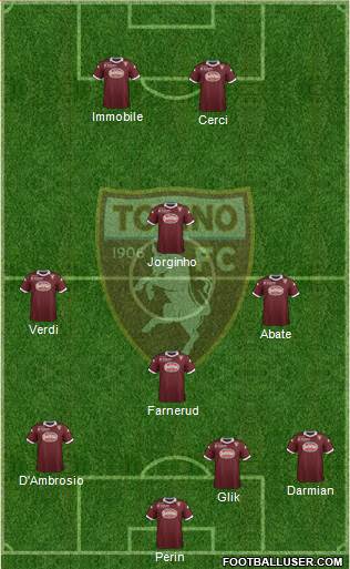 Torino Formation 2013