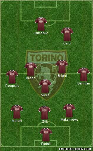 Torino Formation 2013