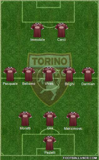 Torino Formation 2013