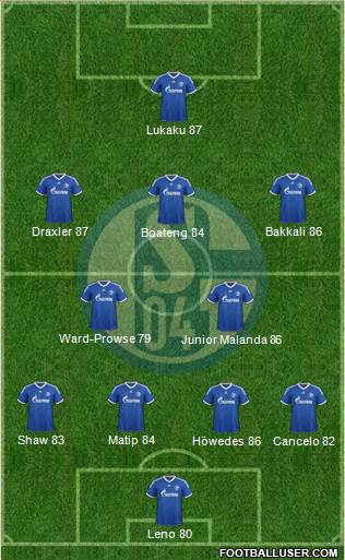 FC Schalke 04 Formation 2013