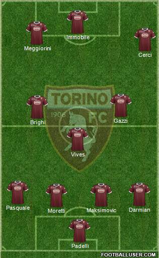 Torino Formation 2013