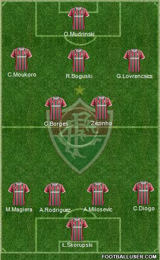 Fluminense FC Formation 2013