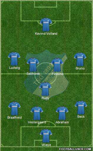 TSG 1899 Hoffenheim Formation 2013