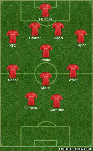 Cardiff City Formation 2013