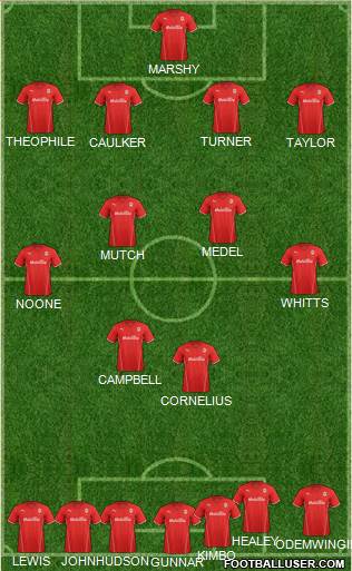 Cardiff City Formation 2013