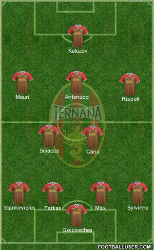 Ternana Formation 2013