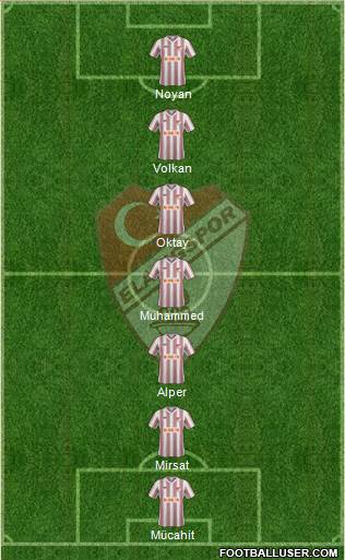 Elazigspor Formation 2013