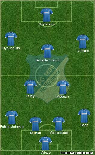 TSG 1899 Hoffenheim Formation 2013