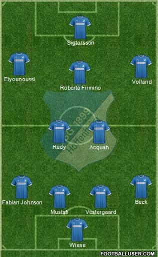 TSG 1899 Hoffenheim Formation 2013