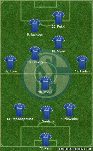 FC Schalke 04 Formation 2013