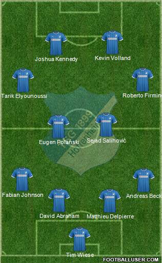 TSG 1899 Hoffenheim Formation 2013