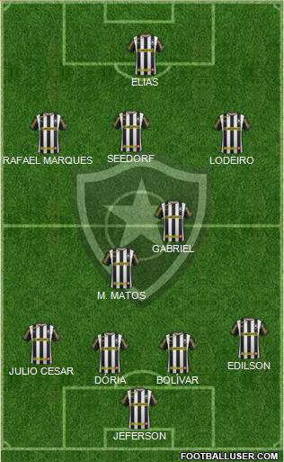 Botafogo FR Formation 2013