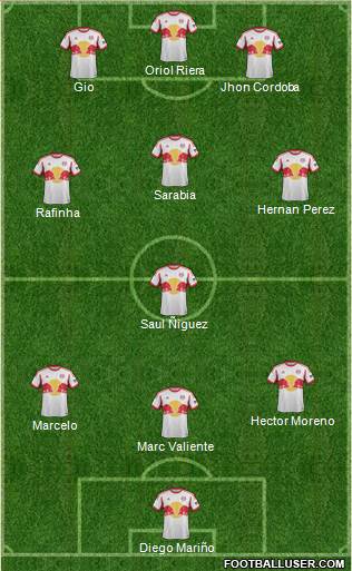 New York Red Bulls Formation 2013