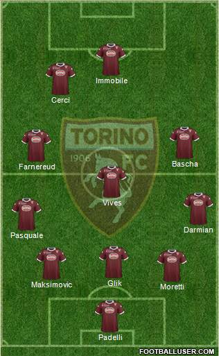 Torino Formation 2014