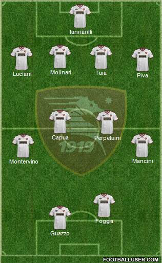 Salernitana Formation 2014