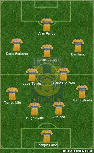 Club Universitario de Nuevo León Formation 2014