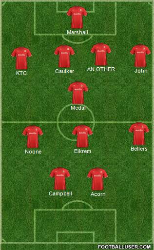 Cardiff City Formation 2014