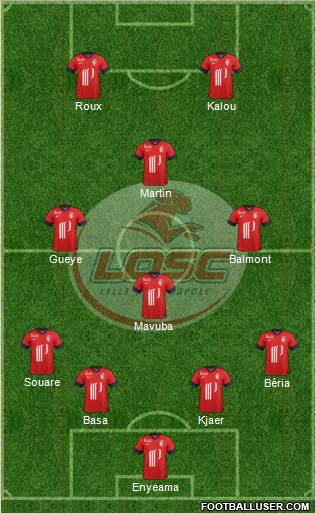 LOSC Lille Métropole Formation 2014