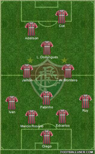 Fluminense FC Formation 2014