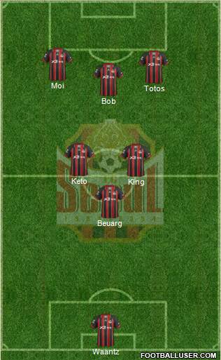 FC Seoul Formation 2014