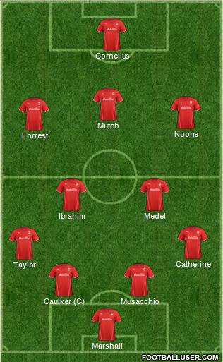 Cardiff City Formation 2014