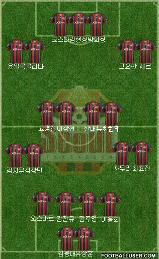 FC Seoul Formation 2014