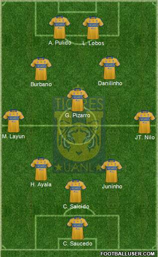 Club Universitario de Nuevo León Formation 2014