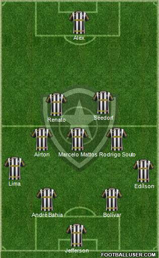 Botafogo FR Formation 2014