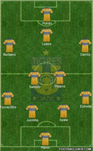 Club Universitario de Nuevo León Formation 2014