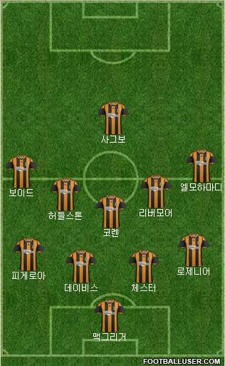 Hull City Formation 2014