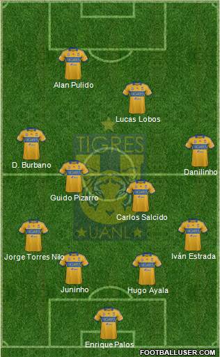 Club Universitario de Nuevo León Formation 2014