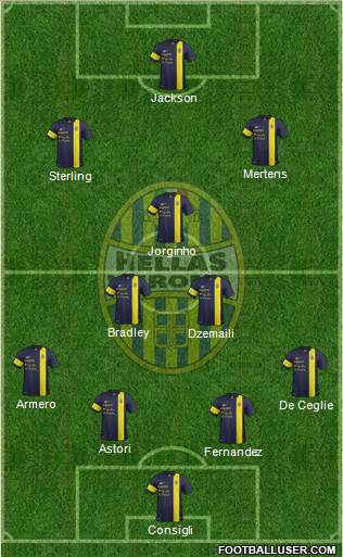 Hellas Verona Formation 2014