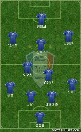 Suwon Samsung Blue Wings Formation 2014