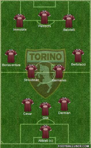 Torino Formation 2014