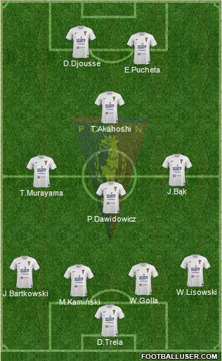 Pogon Szczecin Formation 2014