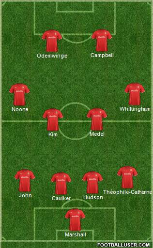 Cardiff City Formation 2014