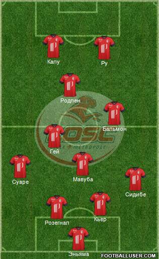 LOSC Lille Métropole Formation 2014