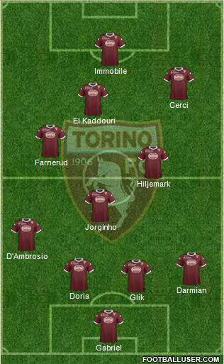 Torino Formation 2014