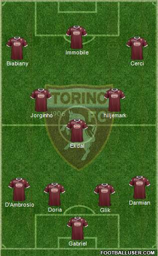 Torino Formation 2014