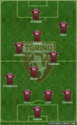 Torino Formation 2014