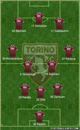 Torino Formation 2014