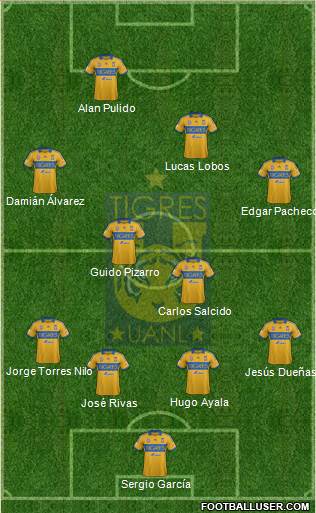 Club Universitario de Nuevo León Formation 2014