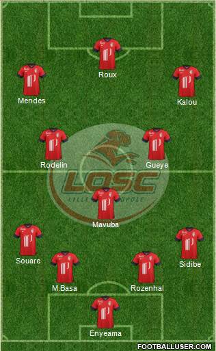 LOSC Lille Métropole Formation 2014