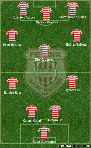 Pendikspor Formation 2014